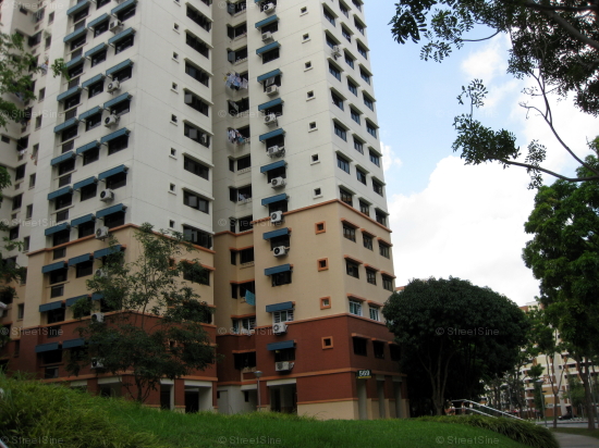Blk 569 Hougang Street 51 (Hougang), HDB 5 Rooms #246262
